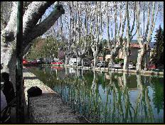 The carp pond in the Spring