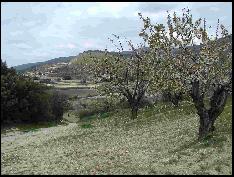 View of Vaugines on a walk from Cucuron