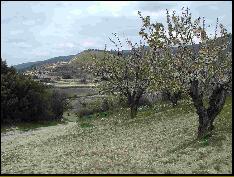 View on a walk to Vaugines