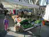 spgm/gal/cucuron/_thb_market_veg.jpg